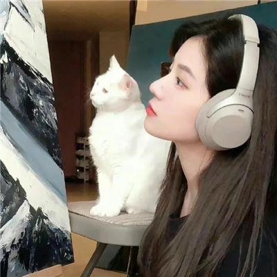 灵犀一点通