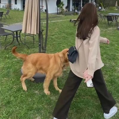 怪奇物语第三季
